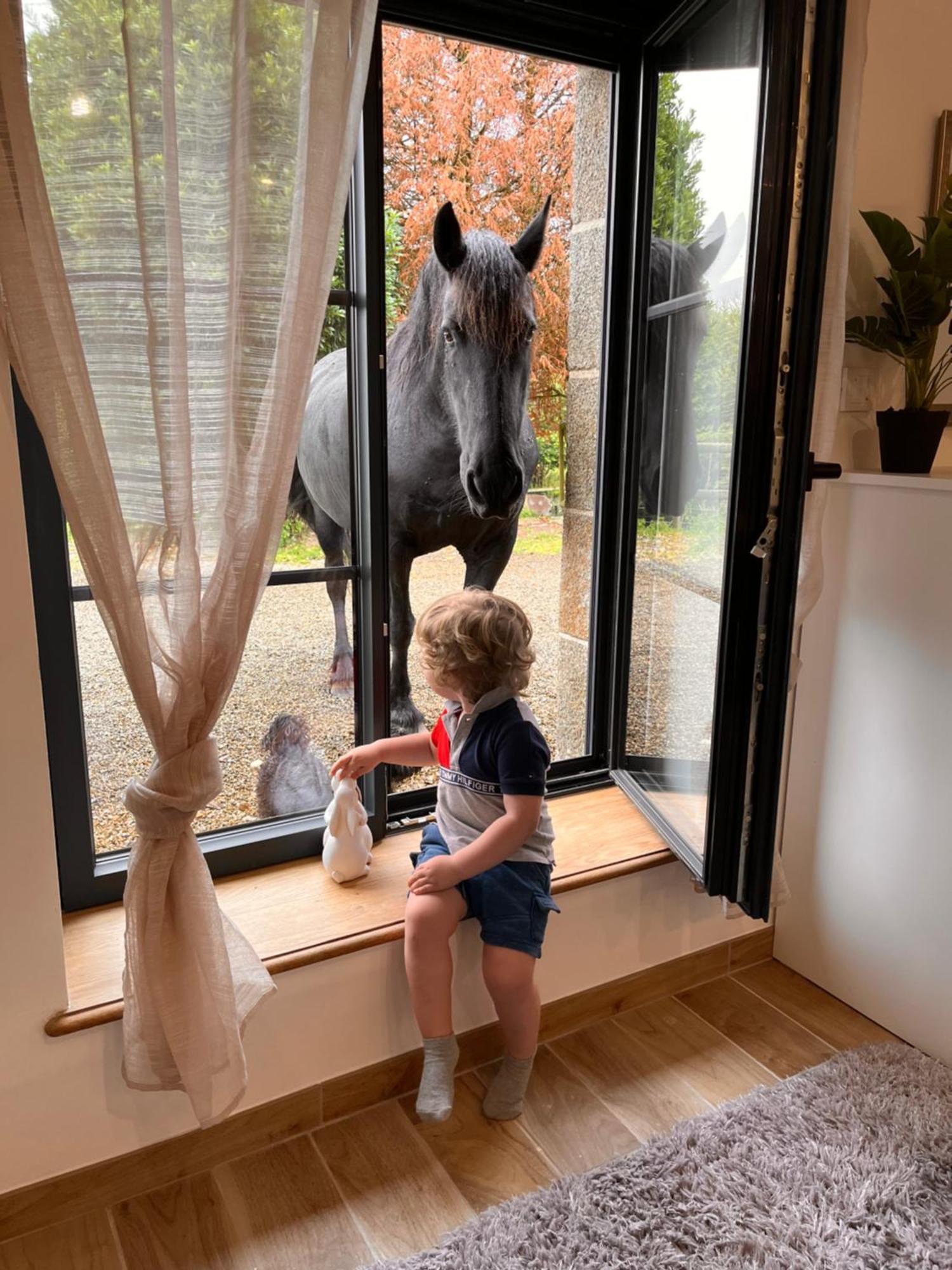 Madelaine Ranch, Nouvelle Piscine 2025 Villa Le Gast Exterior foto